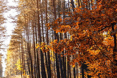 开云体育app-英国网球横扫日本队，梅德韦杰夫上演帽子戏法的背后故事