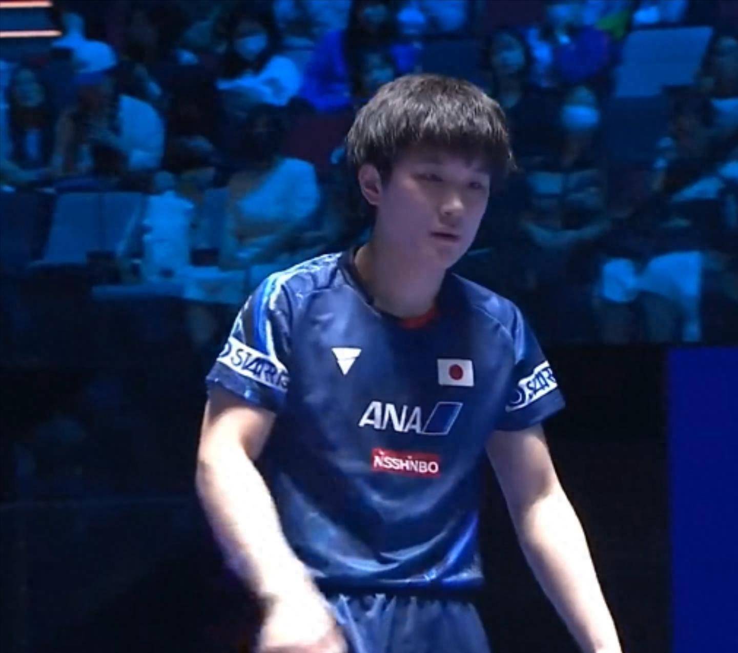 韩国队鏖战奥地利队，张本智和状态火热的简单介绍