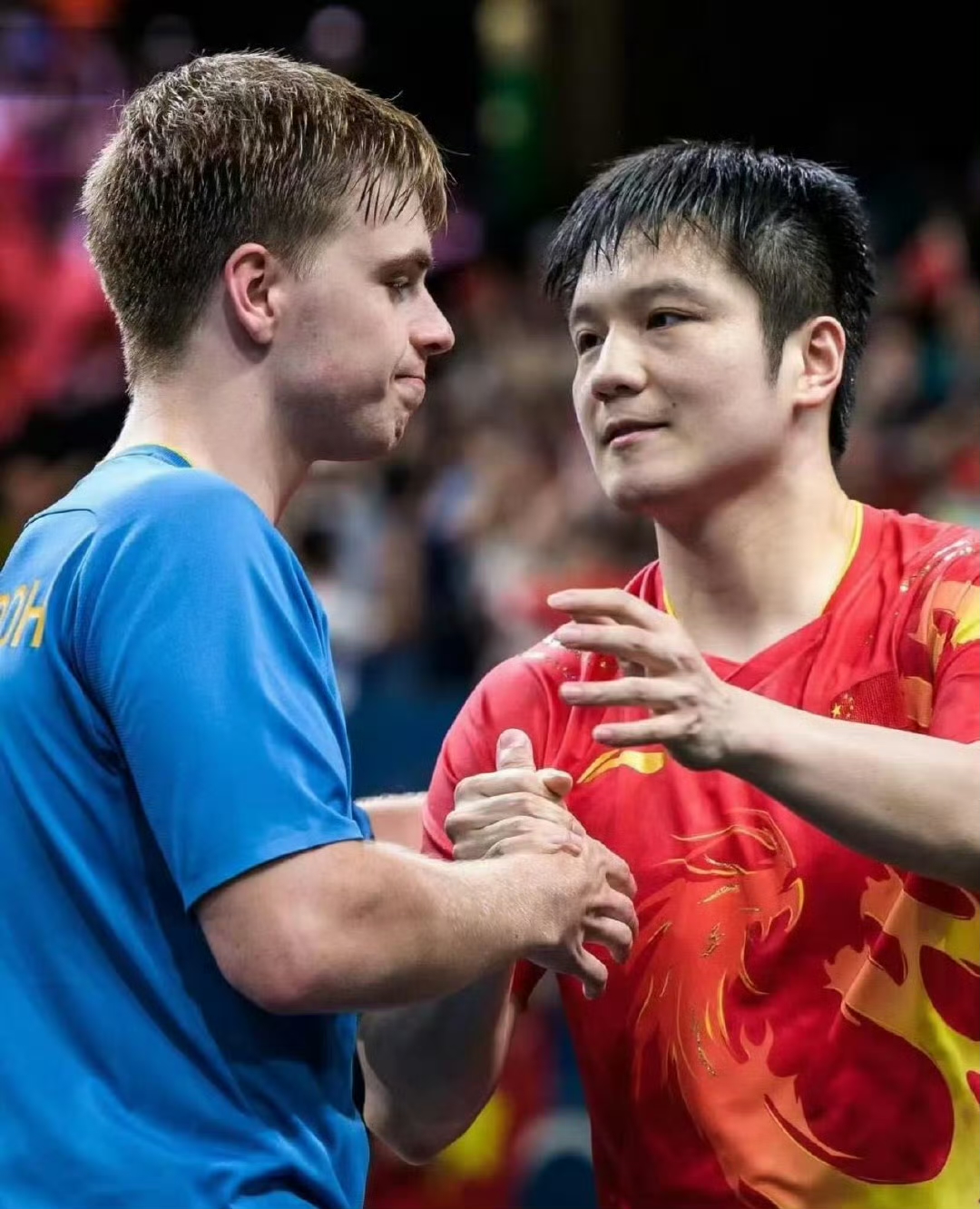 葡萄牙队横扫法国队，樊振东关键制胜