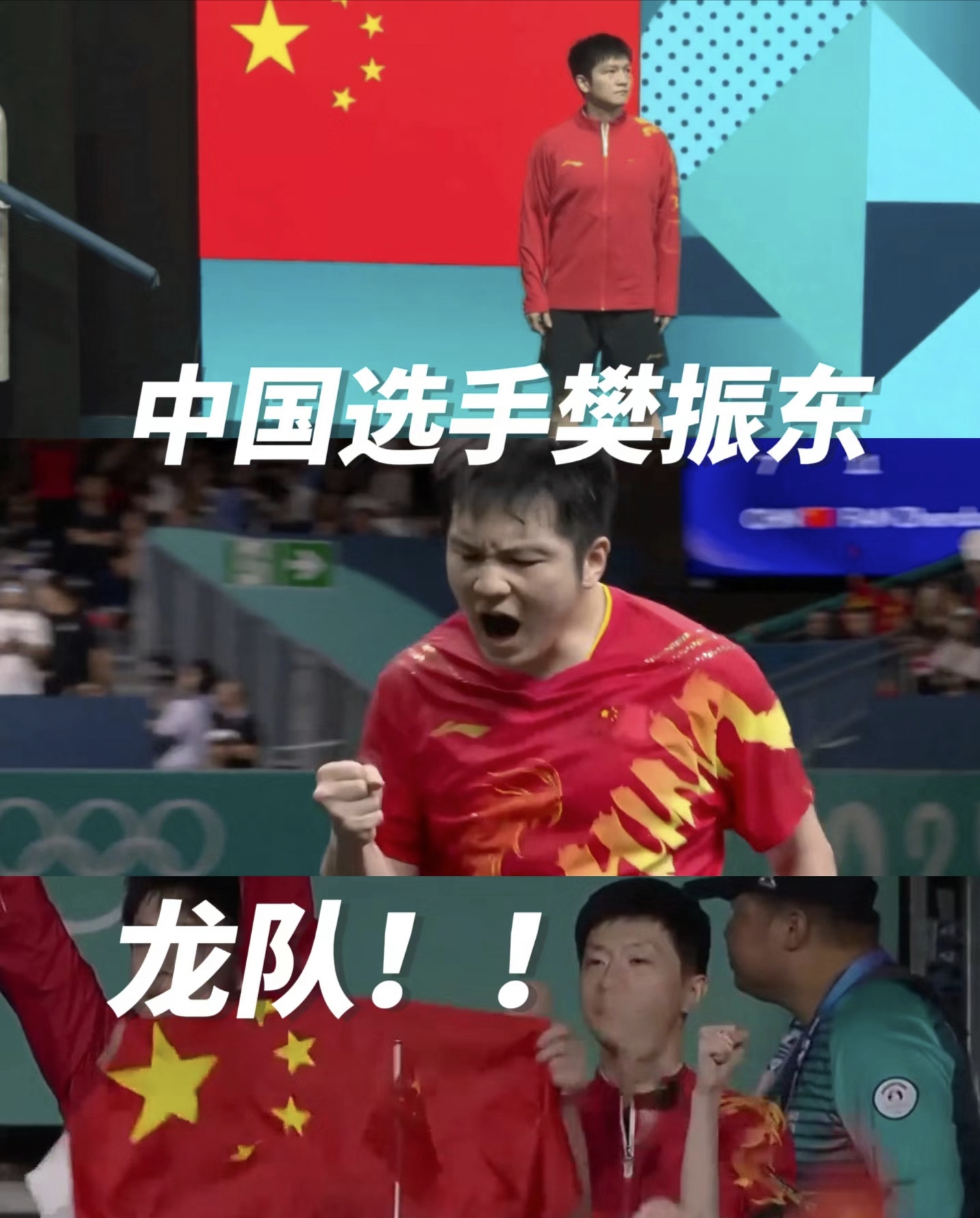 瑞典队鏖战法国队，樊振东带队取胜