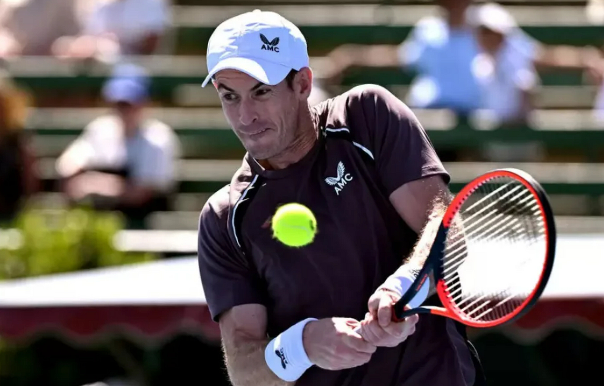 美网碾压戴维斯杯，穆雷点燃赛场